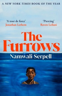 Enlarge image Cover: The Furrows - Vintage