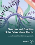 Bild: Structure and Function of the Extracellular Matrix - Academic Press