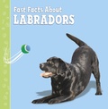 Cover: Fast Facts About Labradors - Raintree Publishers