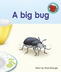 Cover: big bug - Raintree Publishers