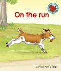 Cover: On the run - Raintree Publishers