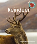 Cover: Reindeer - Raintree Publishers
