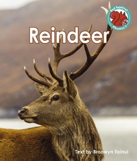 Enlarge image Cover: Reindeer - Raintree Publishers