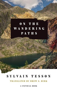 Enlarge image Cover: On the Wandering Paths - University of Minnesota Press