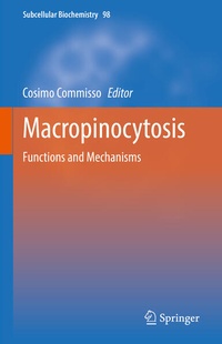 Bild: Macropinocytosis - Springer