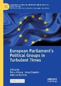 Cover: European Parliament's Political Groups in Turbulent Times - Palgrave Macmillan