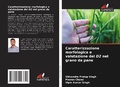 Cover: Caratterizzazione morfologica e valutazione del D2 nel grano da pane - Edizioni Sapienza