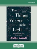 Cover: The Things We See in the Light - ReadHowYouWant