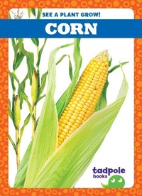 Enlarge image Cover: Corn - Tadpole Books