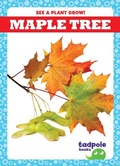 Cover: Maple Tree - Tadpole Books