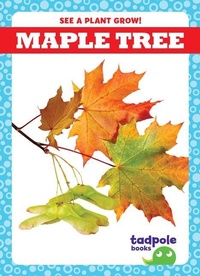Enlarge image Cover: Maple Tree - Tadpole Books