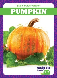 Enlarge image Cover: Pumpkin - Tadpole Books