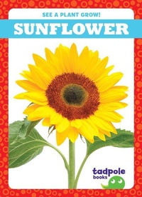 Enlarge image Cover: Sunflower - Tadpole Books