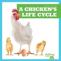 Cover: A Chicken's Life Cycle - Bullfrog Books