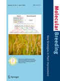 Bild: Molecular Breeding - Springer