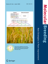 Bild: Molecular Breeding - Springer
