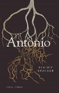 Cover: Antonio - Pushkin Press