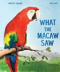 Cover: What the Macaw Saw - Welbeck Children's Books