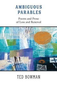 Enlarge image Cover: Ambiguous Parables - Nodin Press