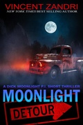 Cover: Moonlight Detour - Vincent Zandri