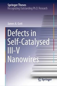 Abbildung von: Defects in Self-Catalysed III-V Nanowires - Springer