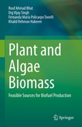 Bild: Plant and Algae Biomass - Springer
