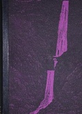Cover: The Romantics in Wales - Gwasg Gregynog Ltd