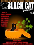 Cover: Black Cat Weekly #13 - Wildside Press