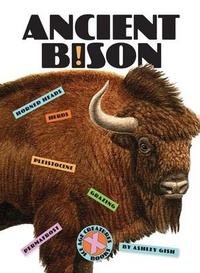 Enlarge image Cover: Ancient Bison - Creative Paperbacks