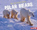 Cover: On the Hunt with Polar Bears - Lerner Publishing Group