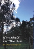 Cover: If We Should Ever Meet Again - Busybird Publishing