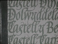 Enlarge image Cover: Princes and Castles - Gwasg Gregynog Ltd