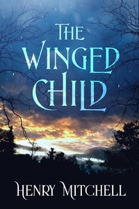 Enlarge image Cover: The Winged Child - Creative James Media