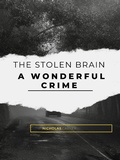 Cover: The Stolen Brain - A Wonderful Crime - Amila Jay