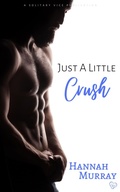Cover: Just A Little Crush - Hannah Murray