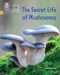 Cover: The Secret Life of Mushrooms - Collins