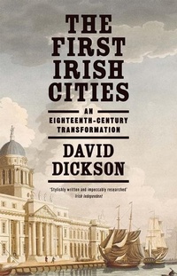 Enlarge image Cover: The First Irish Cities - Yale University Press