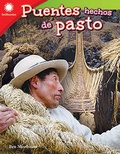 Cover: Puentes hechos de pasto (From Grass to Bridge) epub - Teacher Created Materials