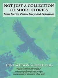Enlarge image Cover: Not Just a Collection of Short Stories - iUniverse
