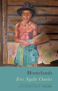 Enlarge image Cover: Homelands - Seren