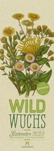 Cover: Wildwuchs - Botanische Illustrationen - Graspapier-Kalender 2023 - Ackermann Kunstverlag