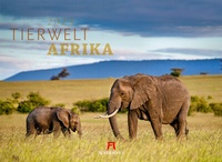 Abbildung von: Tierwelt Afrika Kalender 2023 - Ackermann Kunstverlag