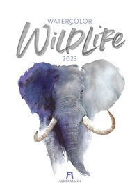 Abbildung von: Watercolor Wildlife Kalender 2023 - Ackermann Kunstverlag