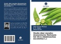 Cover: Studie &uuml;ber morpho-&ouml;konomische Merkmale bei Okra (Abelmoschus esculentus L.) - Verlag Unser Wissen