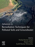 Cover: Advances in Remediation Techniques for Polluted Soils and Groundwater - Elsevier