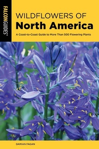 Abbildung von: Wildflowers of North America - Globe Pequot