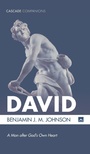 Cover: David - Wipf & Stock Publishers