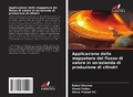 Cover: Applicazione della mappatura del flusso di valore in un'azienda di produzione di cilindri - Edizioni Sapienza