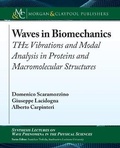 Cover: Waves in Biomechanics - Morgan & Claypool Publishers