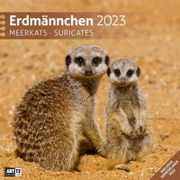 Bild vergrößern Bild: Erdmännchen Kalender 2023 - 30x30 - Ackermann Kunstverlag